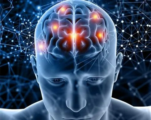 pathakwavecurecenter.in Welcome ToPathak Wave Cure Center Neurological Disorders CenterParalysisParalysis with Wave TherapyOrthopaedic DoctorDr Ankit Pathak MBBS, M S (Orthopaedic Surgeon)Spinal PainSpinal Pain RemedyPain ManagementKnee Pain Management "Pathak Wave Cure Center" The Best helpful Neurological Disorders & Pain Management We are helpful for Neurological Disorders Symptoms, Neurological-Disorders list, functional neurological-disorder, Dyslexia a neurological disorder, CMT Neurological Disorder, Neurological Naturopathy,  May 24, 2018 Neurological Disorders-Muscular Dystrophy-Orthopaedic Doctor – Welcome ToPathak Wave Cure Center Neurological Disorders CenterParalysisParalysis with Wave TherapyOrthopaedic DoctorDr Ankit Pathak MBBS, M S (Orthopaedic Surgeon)Spinal PainSpinal Pain RemedyPain ManagementKnee Pain Management "Pathak Wave Cure Center" The Best helpful Neurological Disorders & Pain Management We are helpful for Neurological Disorders Symptoms, Neurological-Disorders list, functional neurological-disorder, Dyslexia a neurological disorder, CMT Neurological Disorder, Neurological Naturopathy,